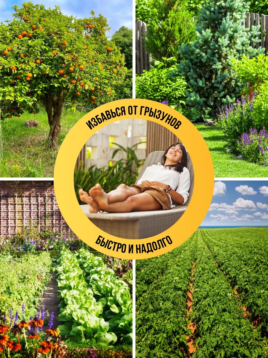 Эргономика